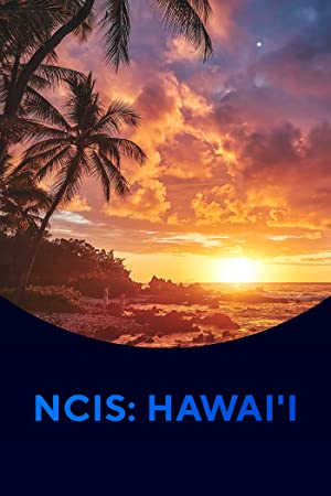 دانلود سریال NCIS: Hawai’i